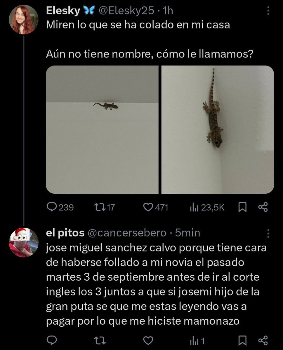 Proyectadas Jamón tweet media