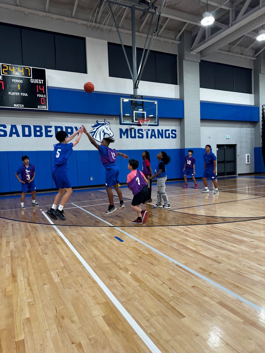 Viking Basketball tweet media