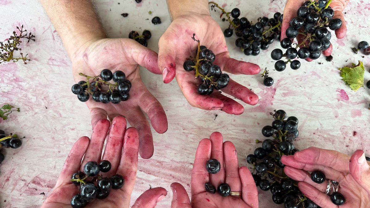 Tracy Kaler tweet media