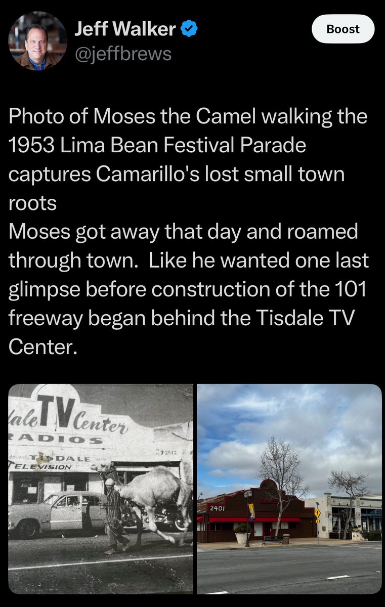 Jungleland was also the home to Moses the Camel who wasn't well behaved either.