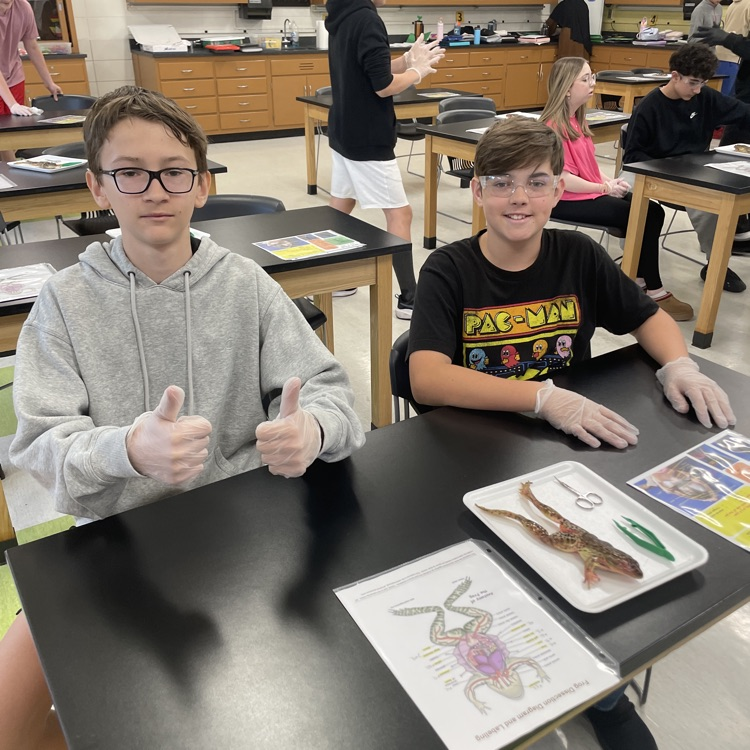 6th-8th grade students had the chance to dissect frogs during science class today!