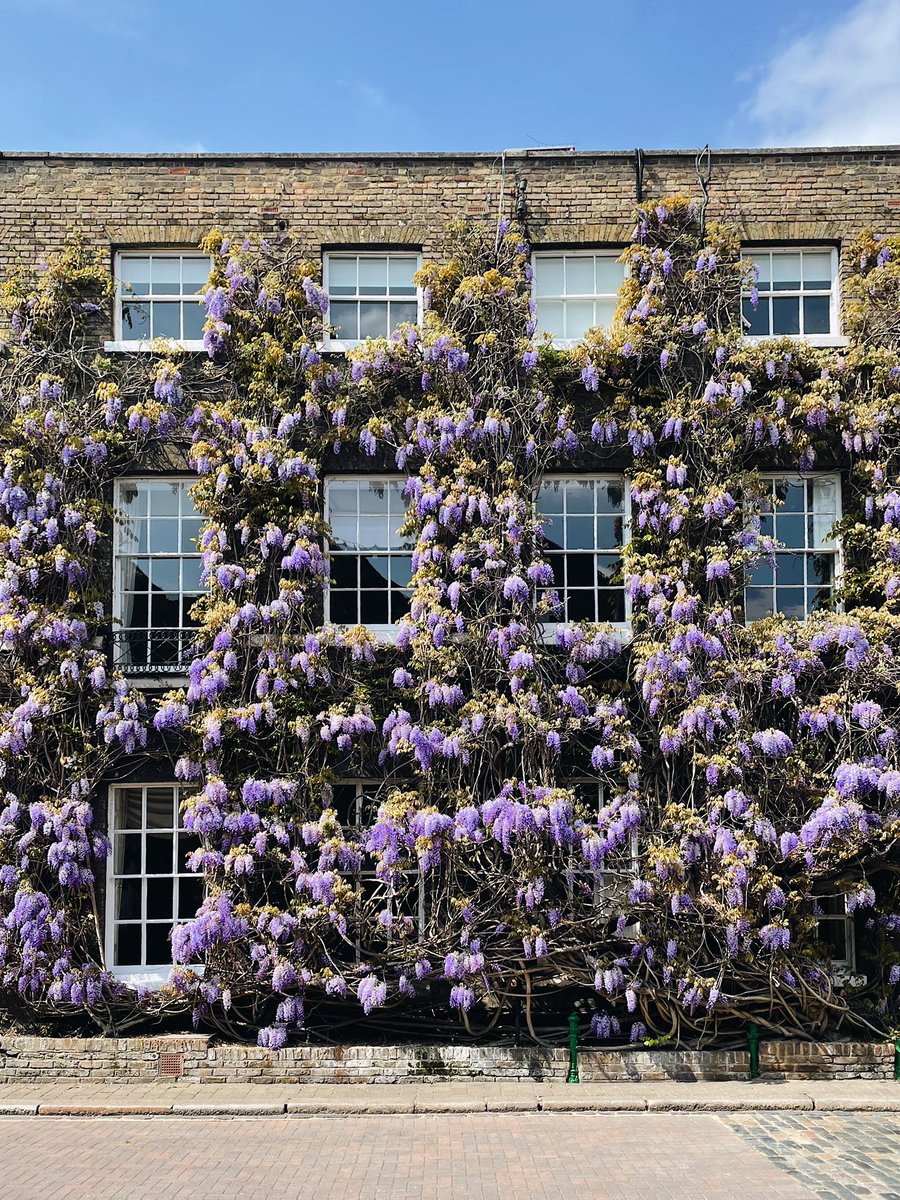 Kulbinder Mann tweet media