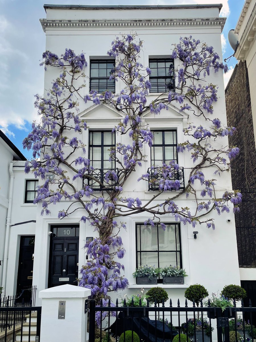 Kulbinder Mann tweet media