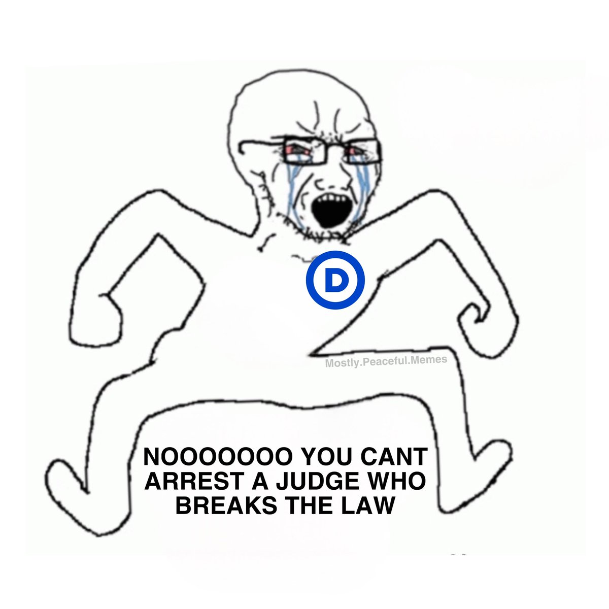 Mostly Peaceful Memes tweet media