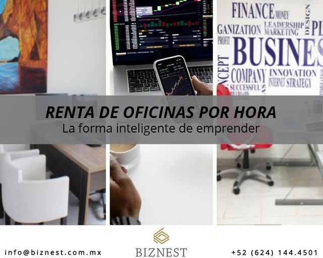 BiznestOficinas's tweet image. ¿Sabías que las empresas que trabajan en espacios de coworking tienen un 30% más de productividad?
¿Estás listo para unirte a Biznest? 
624 1444501 / info@biznest.com.mx
#Biznest #SolucionesEmpresariales #asistentevirtual #emprendimiento #coworkers #oficinavirtual #cabosanlucas