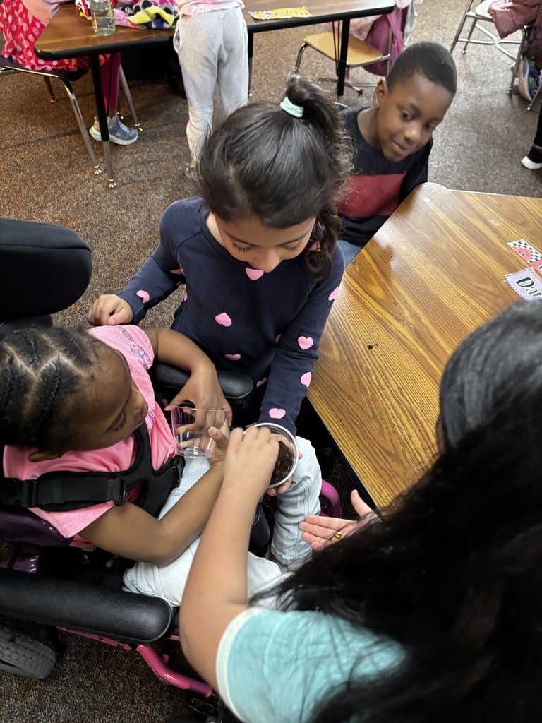 LibertyParkElem's tweet image. Our Life Skills and first grade students teamed up for a special project — planting sunflowers together! #WarrenWill #LpSoars #SharingOurJoy