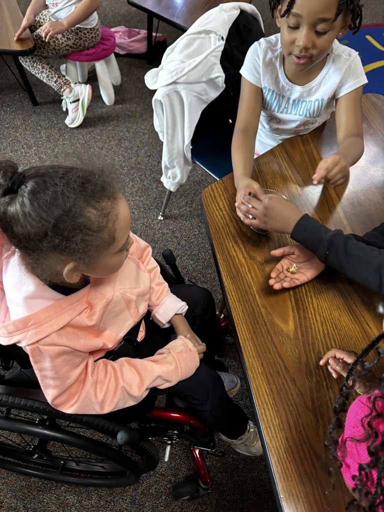 Our Life Skills and first grade students teamed up for a special project — planting sunflowers together! #WarrenWill #LpSoars #SharingOurJoy