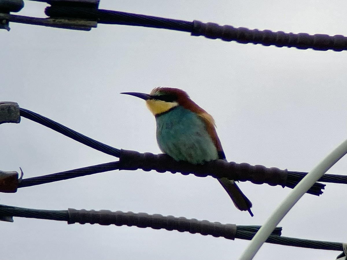 BMcCloskey tweet media