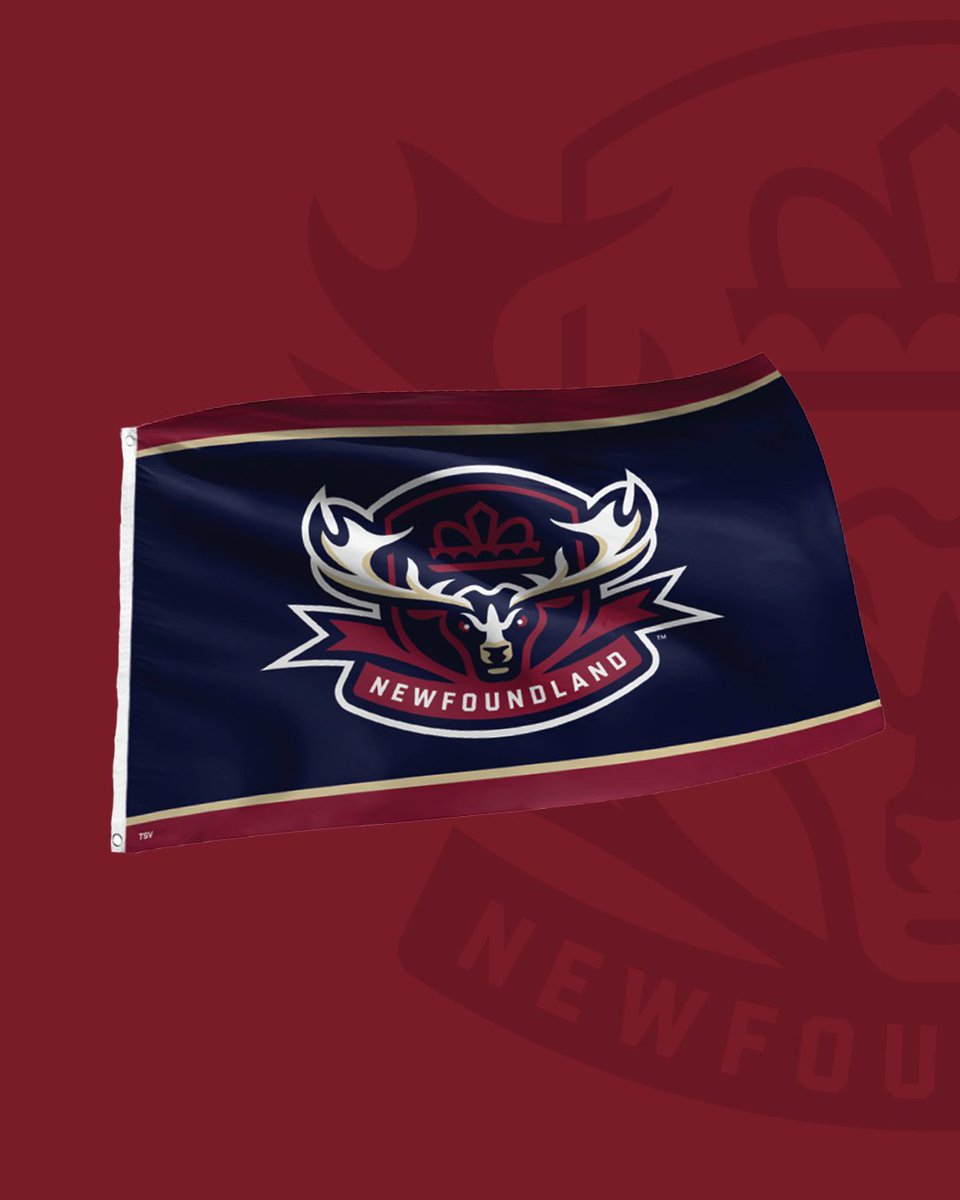nlregiment's tweet photo. 🚨 MERCH DROP 🚨

New STUFF is here!  

- Pins 📍
- Alternate logo shirts 👕
- FLAGS ⛳️

➡️ https://t.co/1msTrtHYMy https://t.co/KnRK7vtsyZ