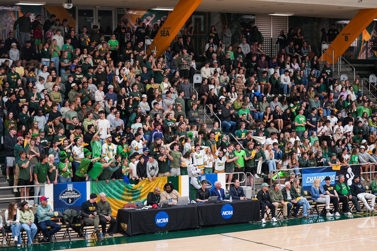 WHO GOT IT BETTER THAN US⁉️

#GoSeaLions x #ThePoint 🟢🌕