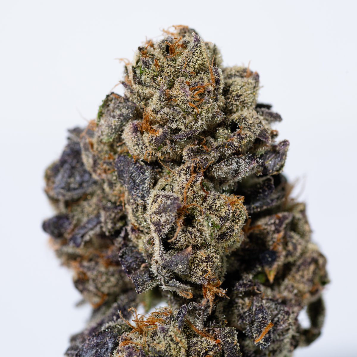 Space Weed tweet media