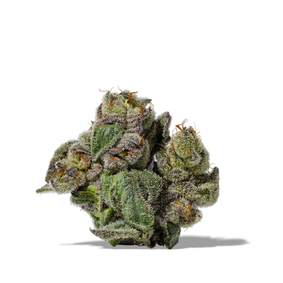 Space Weed tweet media
