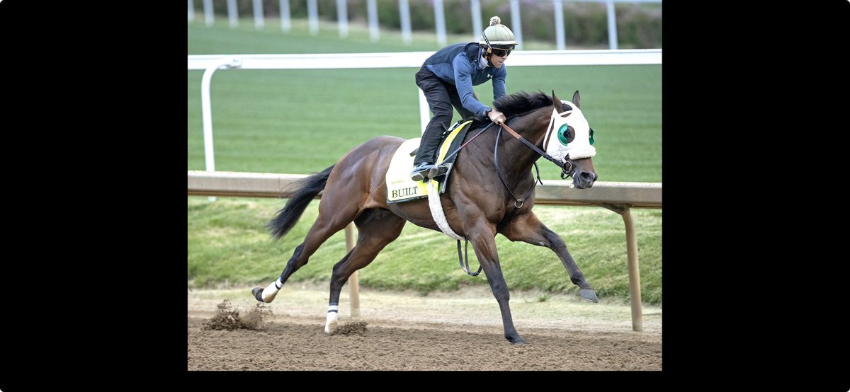 Great strides on the Gallop out