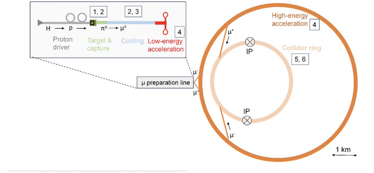 Next in the PRL series of forward-looking Essays, Diktys Stratakis <a href="/Fermilab/">Fermilab</a> outlines the essential steps, investigations, and R&amp;D efforts needed to bring a Muon Collider to life go.aps.org/3YeMP2d #OpenAccess