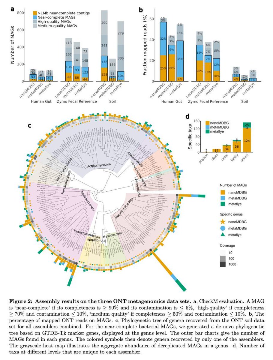 High-quality metagenome assembly from nanopore reads with nanoMDBG biorxiv.org/content/10.110… 🧬🖥️🧪 github.com/GaetanBenoitDe…