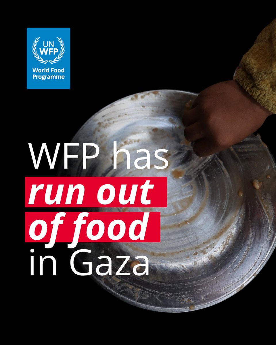 Jonathan Whittall (@_jwhittall) on Twitter photo Today, <a href="/WFP/">World Food Programme</a> delivered its last remaining food stock to hot meal kitchens in #Gaza. These kitchens are expected to fully run out of food in days. No humanitarian or commercial supplies have been allowed by Israel to enter Gaza for more than 7weeks wfp.org/news/wfp-runs-… Today, <a href="/WFP/">World Food Programme</a> delivered its last remaining food stock to hot meal kitchens in #Gaza. These kitchens are expected to fully run out of food in days. No humanitarian or commercial supplies have been allowed by Israel to enter Gaza for more than 7weeks wfp.org/news/wfp-runs-…