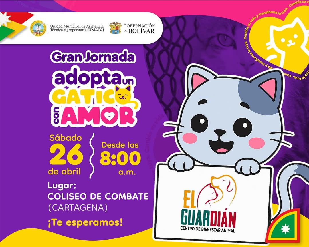 Listos para adopar. Se entregan esterilizados, vacunados y con certificado médico.