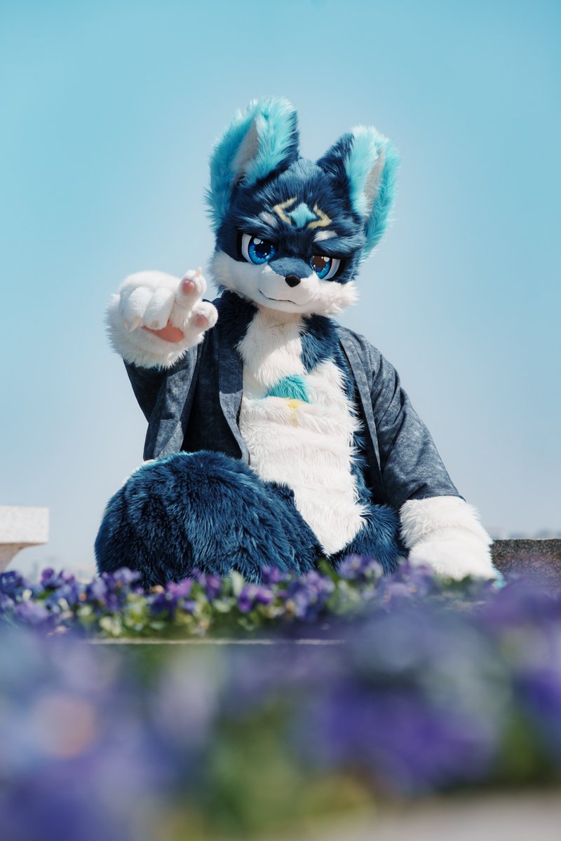 就决定是你了！

📸：<a href="/FurryTsuha/">梓夏🐾Tsuha🐾ツハ🔜UTFG➡️得闲➡️SFF</a>
 #FursuitFriday
