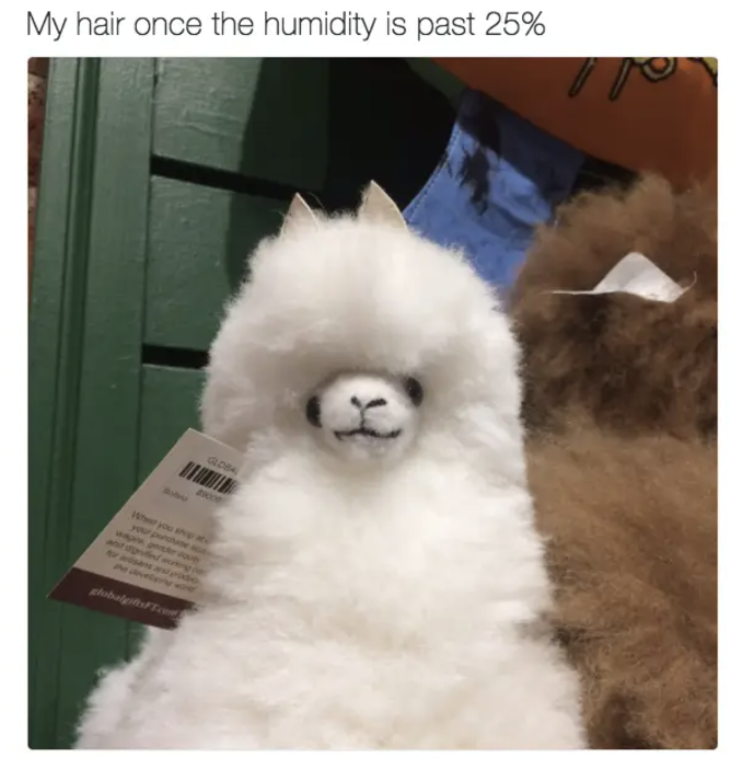 WallHeatingAC's tweet image. Happy #FunFriday 😂 

Too much humidity? We’ve got solutions! Our dehumidifiers keep your home cool, dry, and comfortable. Call us today! 📞 770-829-0809

#FunFriday #HumidityStruggles #HVACSolutions #StayCool