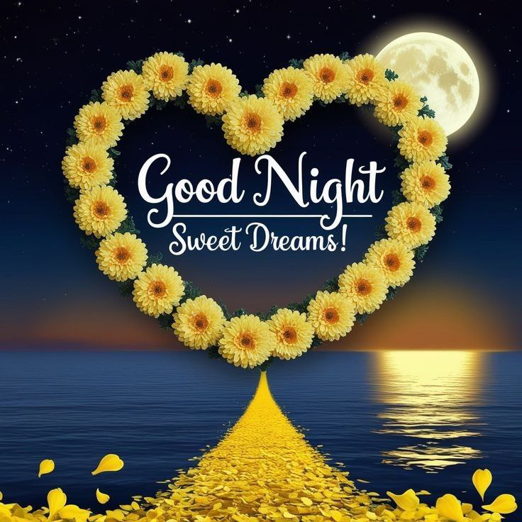 Wish me back, Rest time now &amp; don't shop grinding. 😴💤

       Good Night all  X friend