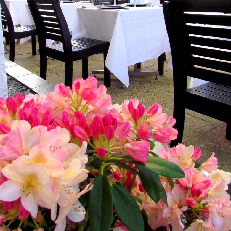 TERRACE OPENING 1ST MAY 🌞🌞
us15.campaign-archive.com/?u=3e54f690ace…