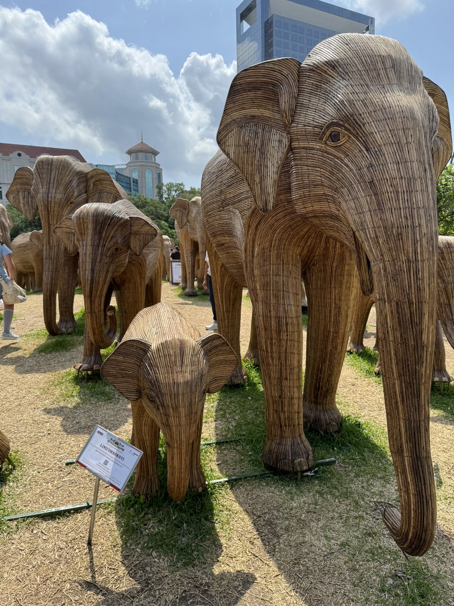 Tarra Gaines (@tarragaines) on Twitter photo Finally had a chance to see The Great Elephant Migration <a href="/HermannPark/">Hermann Park Conservancy</a>. Up close. Finally had a chance to see The Great Elephant Migration <a href="/HermannPark/">Hermann Park Conservancy</a>. Up close.