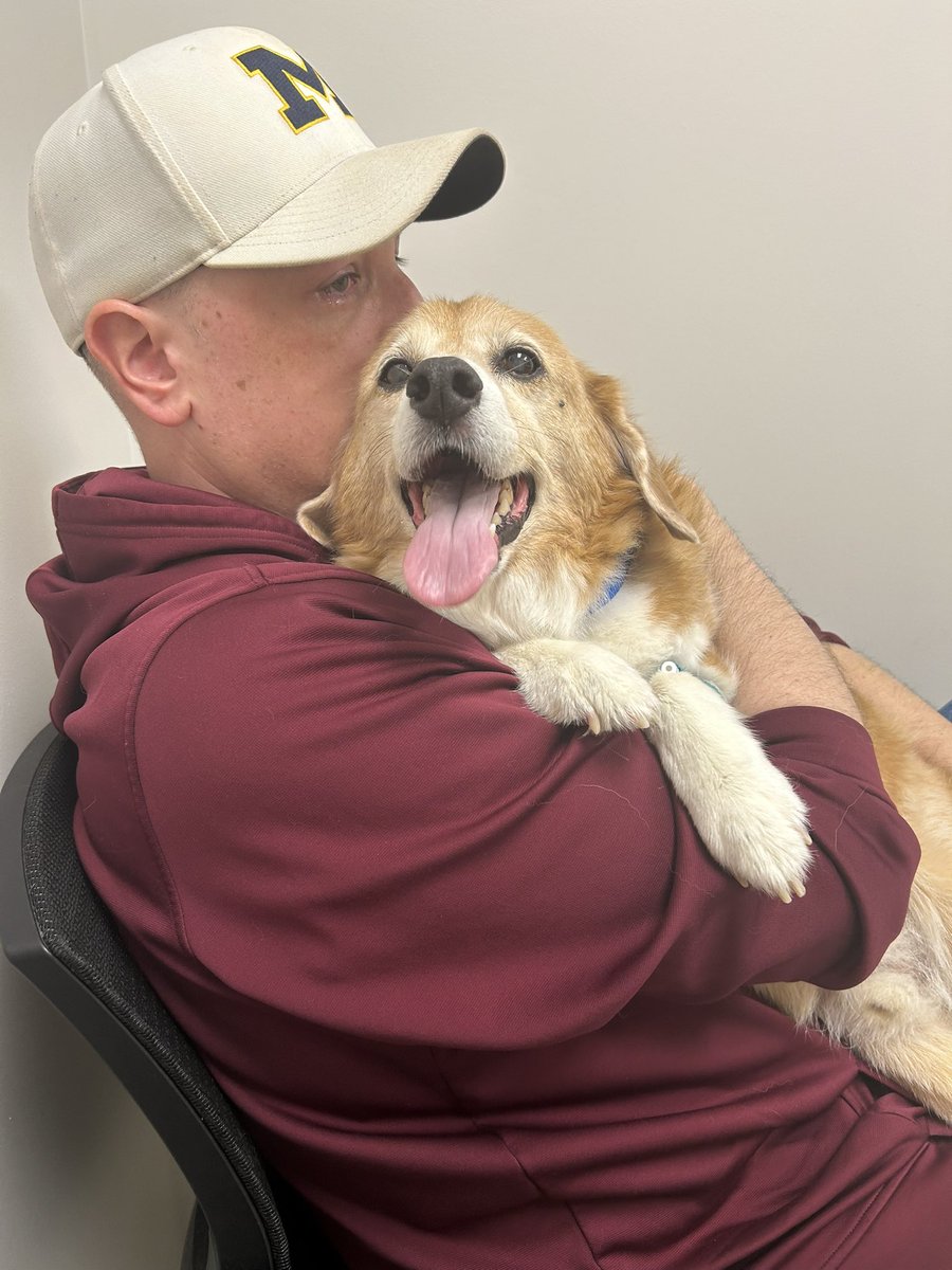 Brian Chimino tweet media