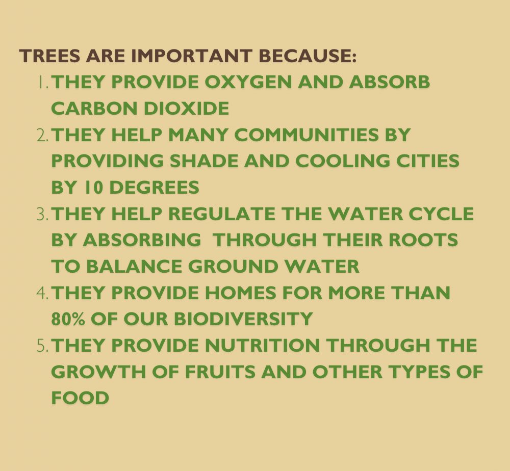 Happy Arbor Day! 🌳💚 #aanrmw #arborday #naturism