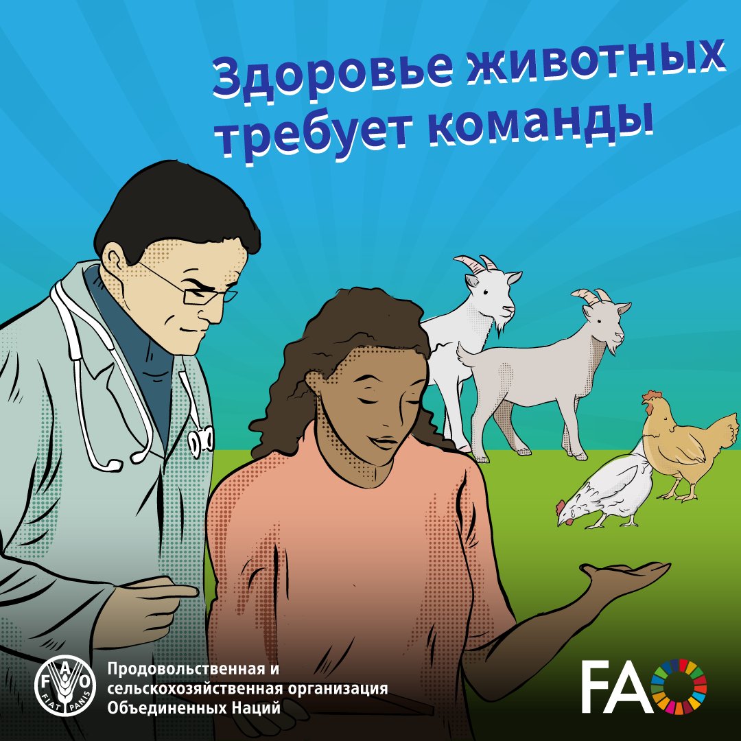 В этот #ДеньВетеринара, как и каждый день, мы чествуем ветеринаров, которые являются важнейшими работниками здравоохранения и вносят свой вклад в глобальную борьбу с болезнями животных.

🌐 bit.ly/3apbEzt
🌐 bit.ly/2P1xfql

#ЗдоровьеЖивотных