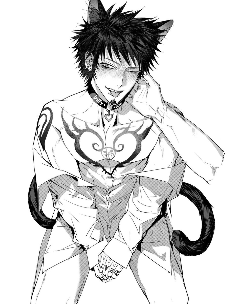 🦩🐯ドフロ
ニャンニャン～