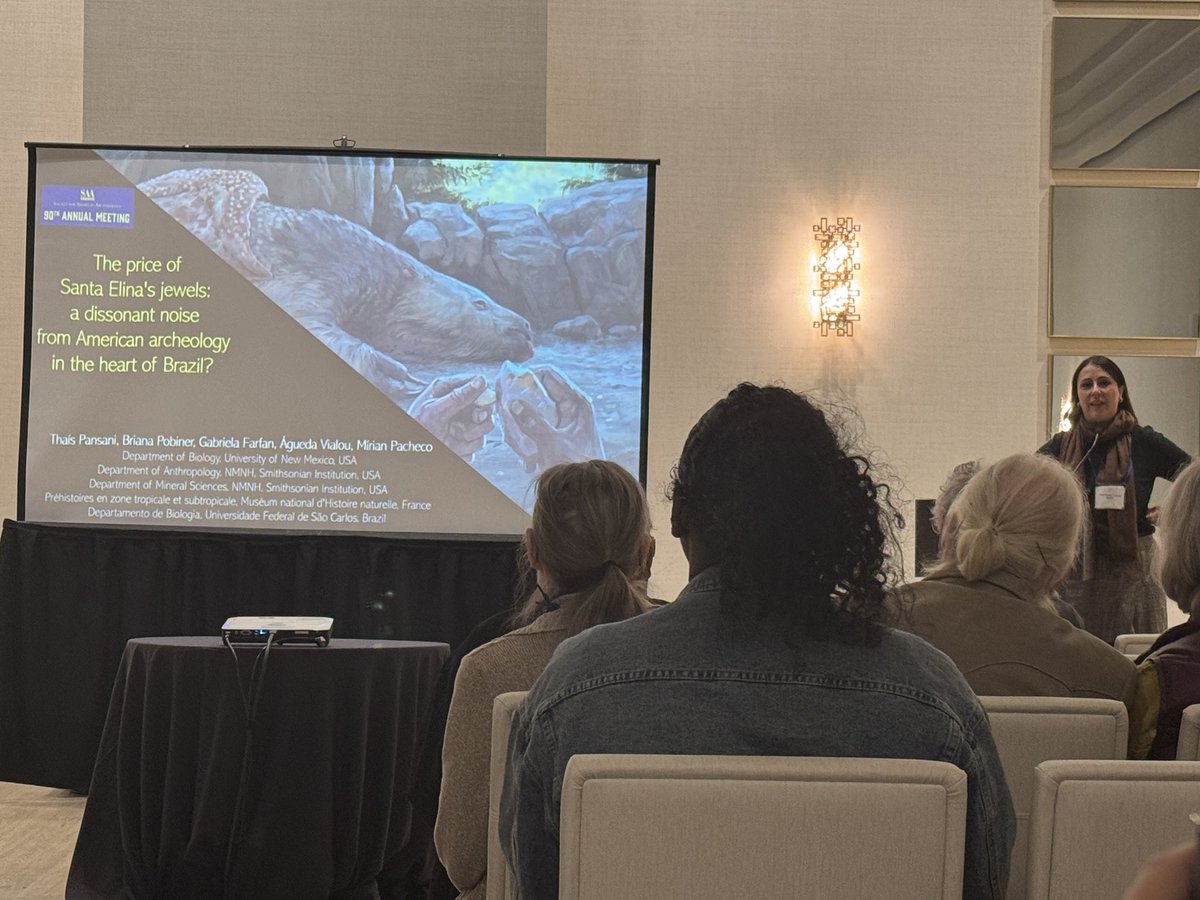 BrianaPobiner's tweet image. TFW your former postdoc chairs a session at #SAA2025 & gives a great talk in the session, too. 🙌🏻 When I asked to take her photo before the session started, Thaís Pansani @thaisrpansani joked I was like a proud parent on their kid’s first day of school… guilty as charged. 🤩