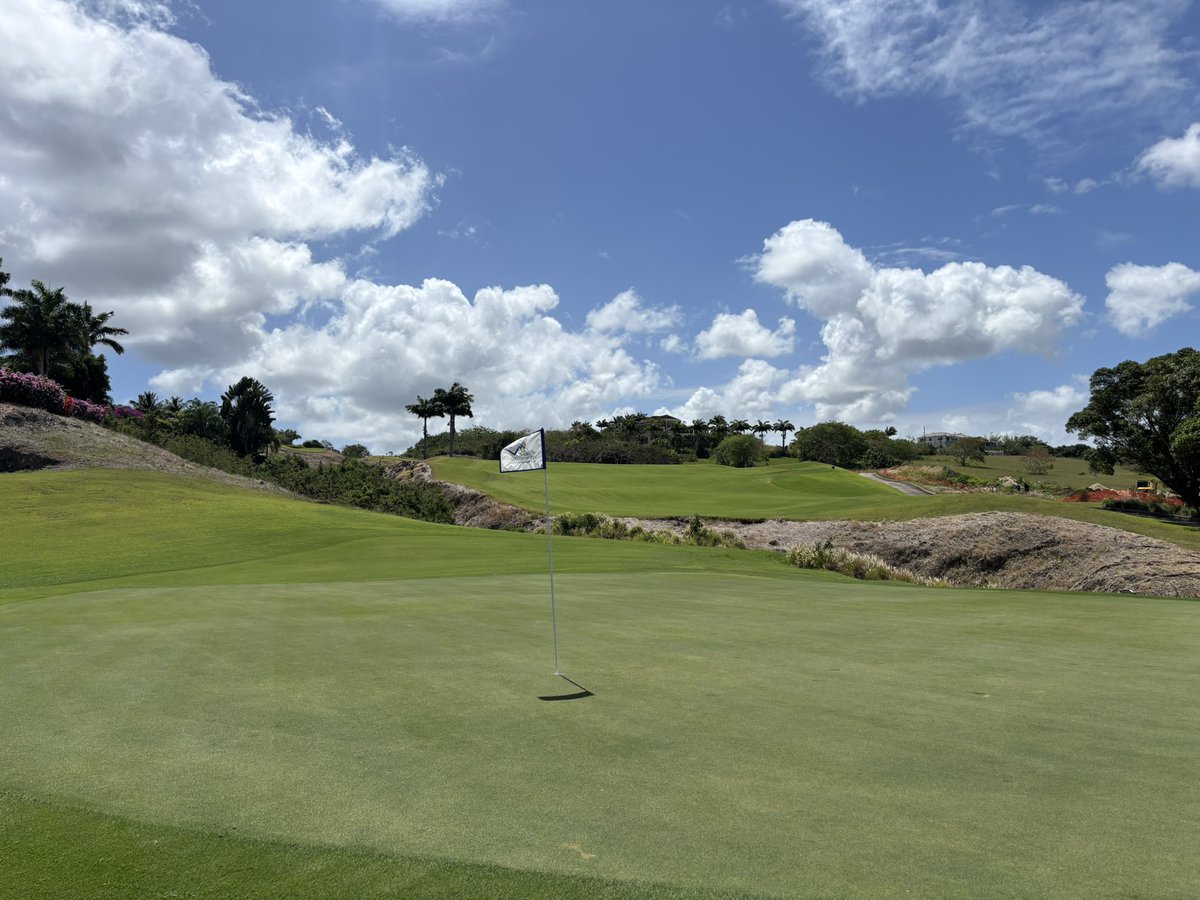 Chris Bertram tweet media