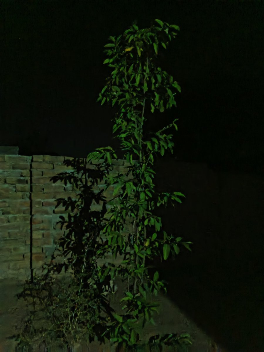 Happy Good Night X MY All Friends