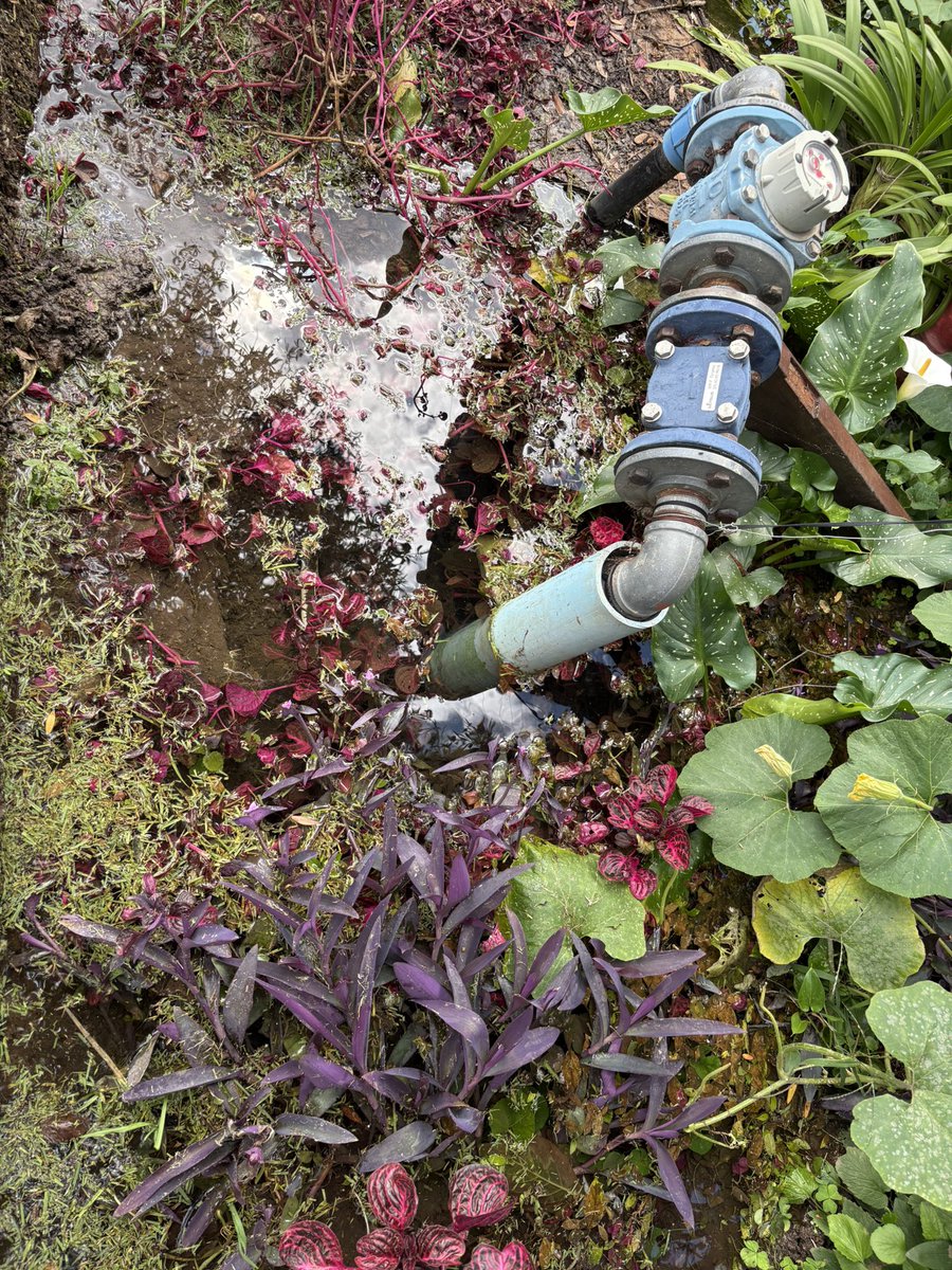 Andrew Bradley tweet media