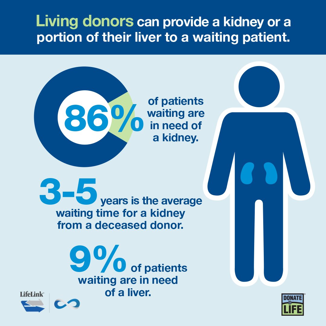 In 2024, 367 people in Florida made the decision to be living donors and help save lives by donating a kidney or portion of their liver. 💙💚 #DonateLifeMonth #LivingDonor

♾️Register your decision today at MyStoryContinues.com.