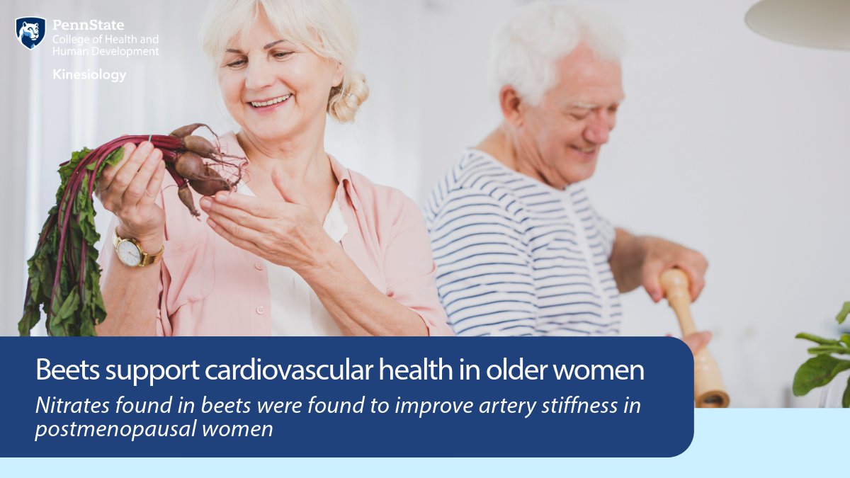 Penn State HHD (@pennstatehhd) on Twitter photo A recent study from David Proctor of <a href="/pennstatekines/">Penn State Kines</a> found that women who added beetroot extract to their daily diet may decrease their risk for cardiovascular disease through the nitrates that beets contain. ow.ly/vKHR50VEY0r A recent study from David Proctor of <a href="/pennstatekines/">Penn State Kines</a> found that women who added beetroot extract to their daily diet may decrease their risk for cardiovascular disease through the nitrates that beets contain. ow.ly/vKHR50VEY0r