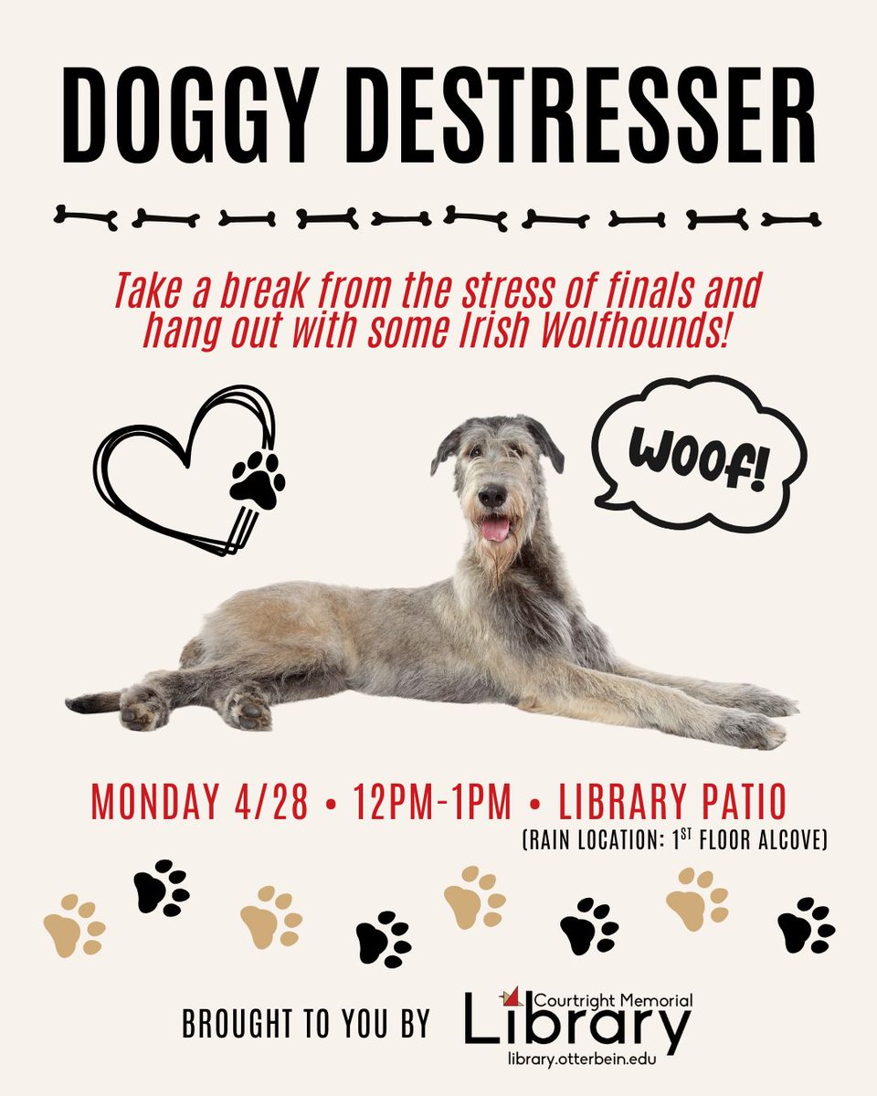 It's finals season once again, and you know what that means - Irish Wolfhounds at the Courtright Memorial Library! Please swing by the patio at our front entrance to meet, pet, and receive those good puppy vibes from Professor Candy Canzoneri's very huge and wonderful dogs.