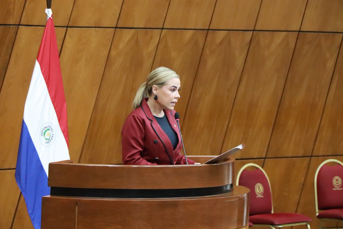 SenadoPy tweet media