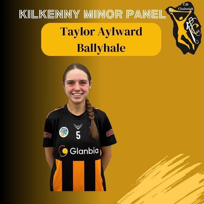 Ballyhale Shamrocks Camogie Club tweet media