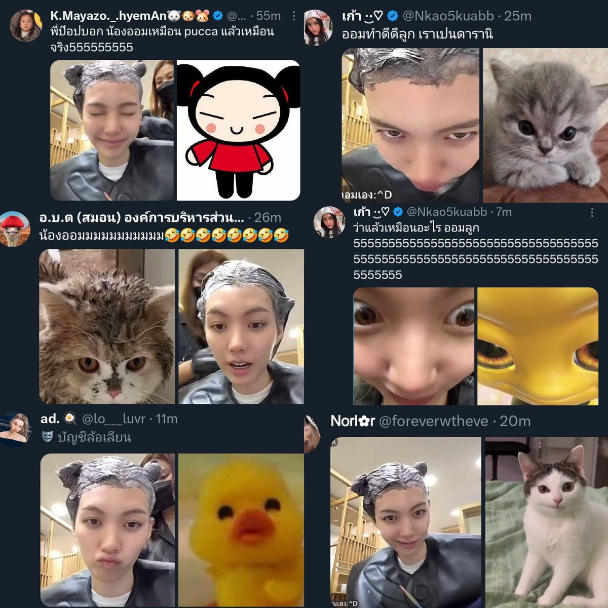 เมื่อน้องออมขึ้นไลฟ์
1 ไลฟ์ เท่ากับ 1 มีม ❎️
1 ไลฟ์ เท่ากับ 100 มีม ✅️
ขออนุญาตจขทว.ทุกคนด้วยนะคะ