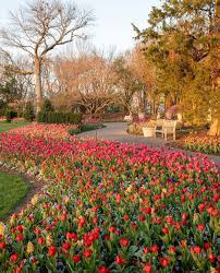 JMHCFBSports's tweet image. @KendallRogers @Mike_Rooney @JoeHealyD1 Botanical Gardens are undefeated. I took two of these: 1 in St. Louis and 1 in Phoenix. Y&apos;all should have a team outing. Jared in Nashville, TN (which has Cheekwood Botanical Garden, which has a tulip festival).