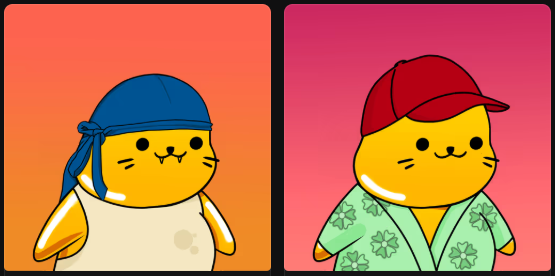 Had to snag those two beauties today! 
What do you say, <a href="/sappyseals/"></a> fam?
Did I do okay?

Do seals follow seals?
ARF ARF