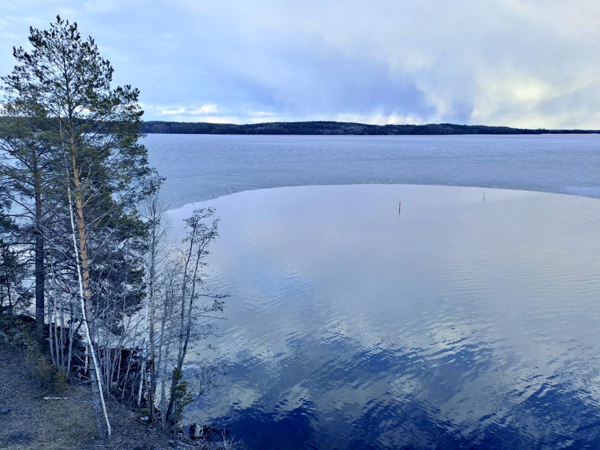 Matti Pitkäniitty (@mpitkaniitty) on Twitter photo Kevät etenee Pohjois-Karjalassa. Pyhäjärvellä, vartiostomme eteläreunalla, jää on jo lähtenyt salmista. Vielä muutama aurinkoinen tai tuulinen päivä ja ensimmäiset veneet voidaan laskea vesille. Pohjoisempana, Ilomantsissa ja Lieksassa, menee hetki pidempään.
<a href="/PKarjalan_raja/">P-Karjalan raja</a> Kevät etenee Pohjois-Karjalassa. Pyhäjärvellä, vartiostomme eteläreunalla, jää on jo lähtenyt salmista. Vielä muutama aurinkoinen tai tuulinen päivä ja ensimmäiset veneet voidaan laskea vesille. Pohjoisempana, Ilomantsissa ja Lieksassa, menee hetki pidempään.
<a href="/PKarjalan_raja/">P-Karjalan raja</a>