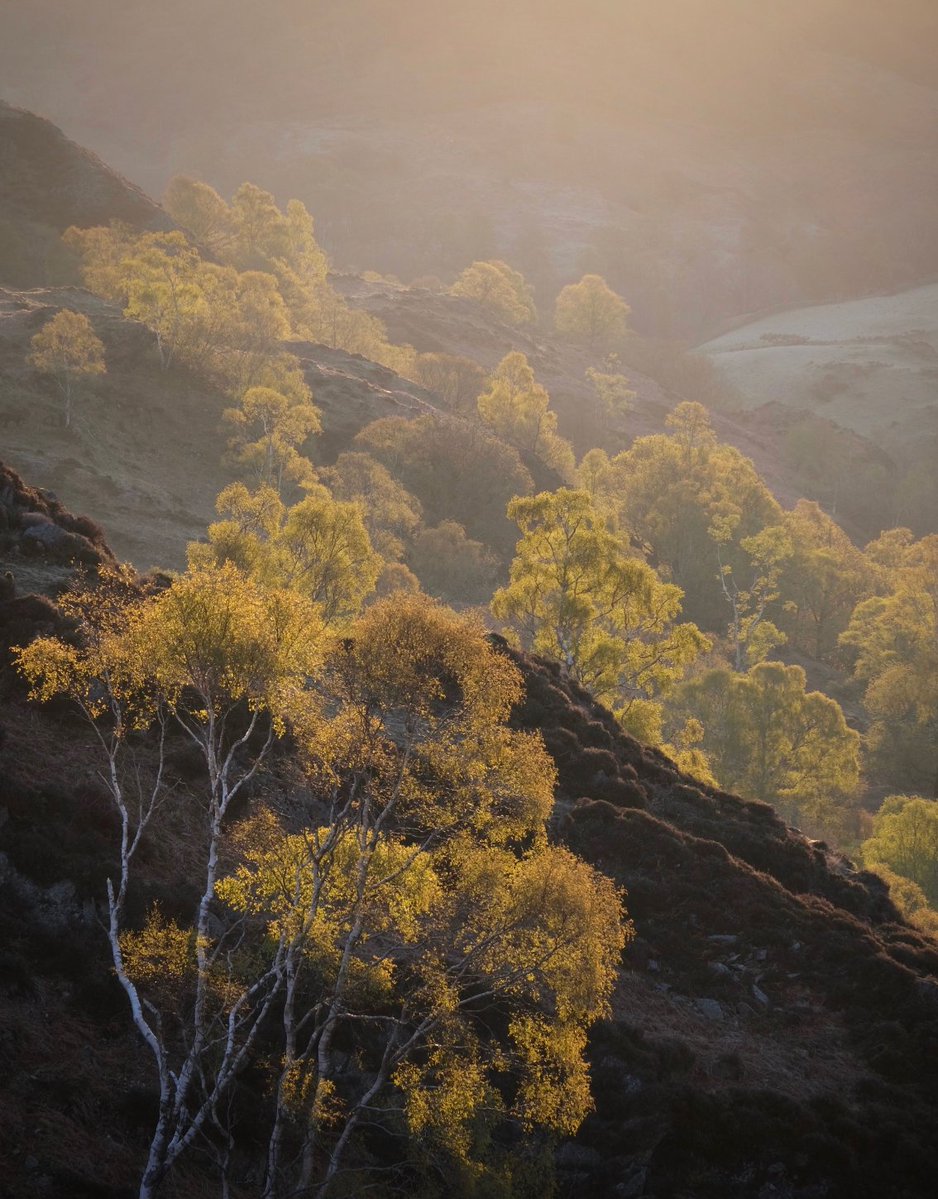 The Great Outdoors (@tgomagazine) on Twitter photo 📸 <a href="/WillLakeCopy/">Will Lake</a> enjoys nothing more than escaping his desk with camera in hand, often to the #LakeDistrict. It is an antidote to "endless metrics, goals and rankings". His images are refreshingly unprocessed and joyful.
Read on in new #TheGreatOutdoors:
thegreatoutdoorsmag.com/latest-issue/g… 📸 <a href="/WillLakeCopy/">Will Lake</a> enjoys nothing more than escaping his desk with camera in hand, often to the #LakeDistrict. It is an antidote to "endless metrics, goals and rankings". His images are refreshingly unprocessed and joyful.
Read on in new #TheGreatOutdoors:
thegreatoutdoorsmag.com/latest-issue/g…