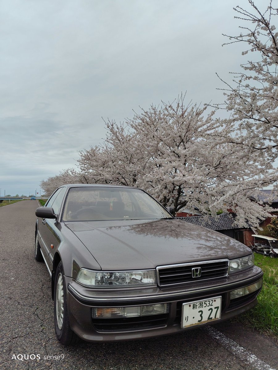 CB_5AI's tweet image. エントリーフォーム入力⭕️
新潟県北部のド田舎から参戦しま〜す🙋
実はこの個体…あそこがアレなんですよ❗🤭