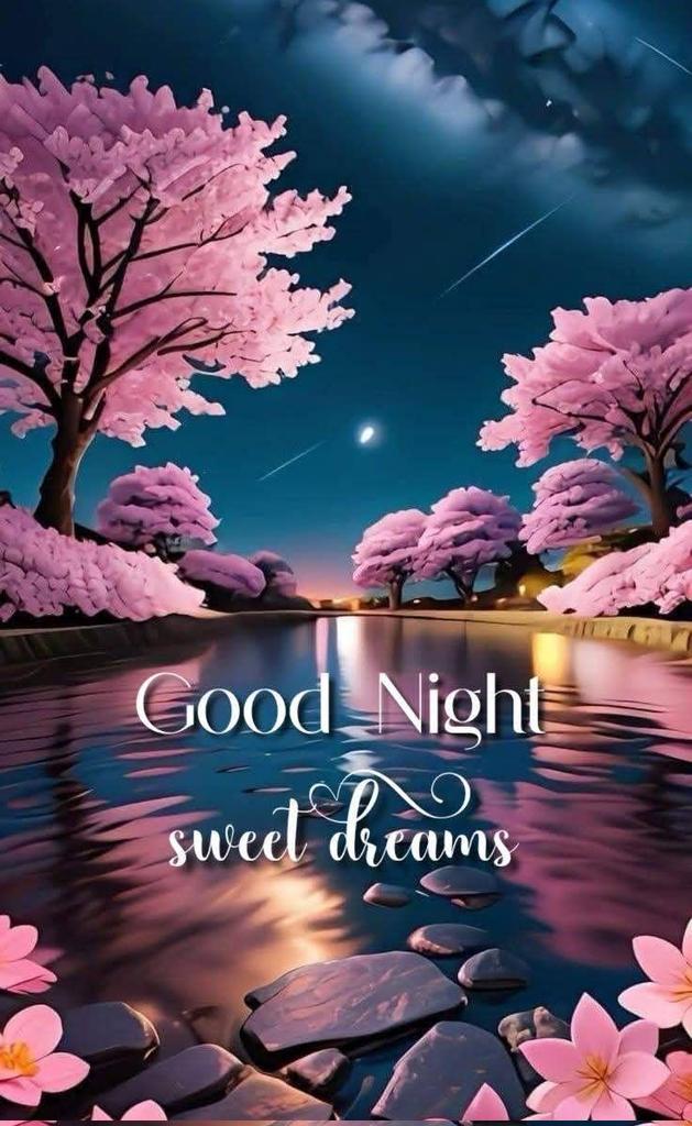 Dream big, sleep tight, and may tomorrow bring new delight. Good night!"

Good Night!!!

CB 💯 
RT 💯