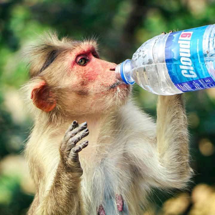 As we worship this weekend, let's acknowledge that faith and spirituality address certain aspects of our lives, but others require human action. Issues like good governance, accountability, and justice fall within our realm of responsibility. While Jesus' teachings guide us