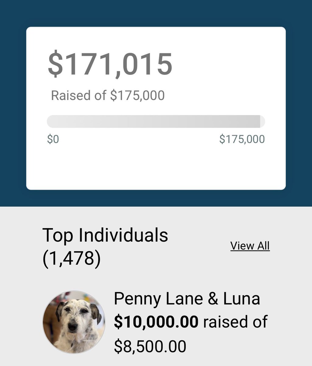 Penny_Lane_Pup's tweet photo. I cannot believe my eyes!
#muttstrut #pennylane https://t.co/vGpGplIBk2