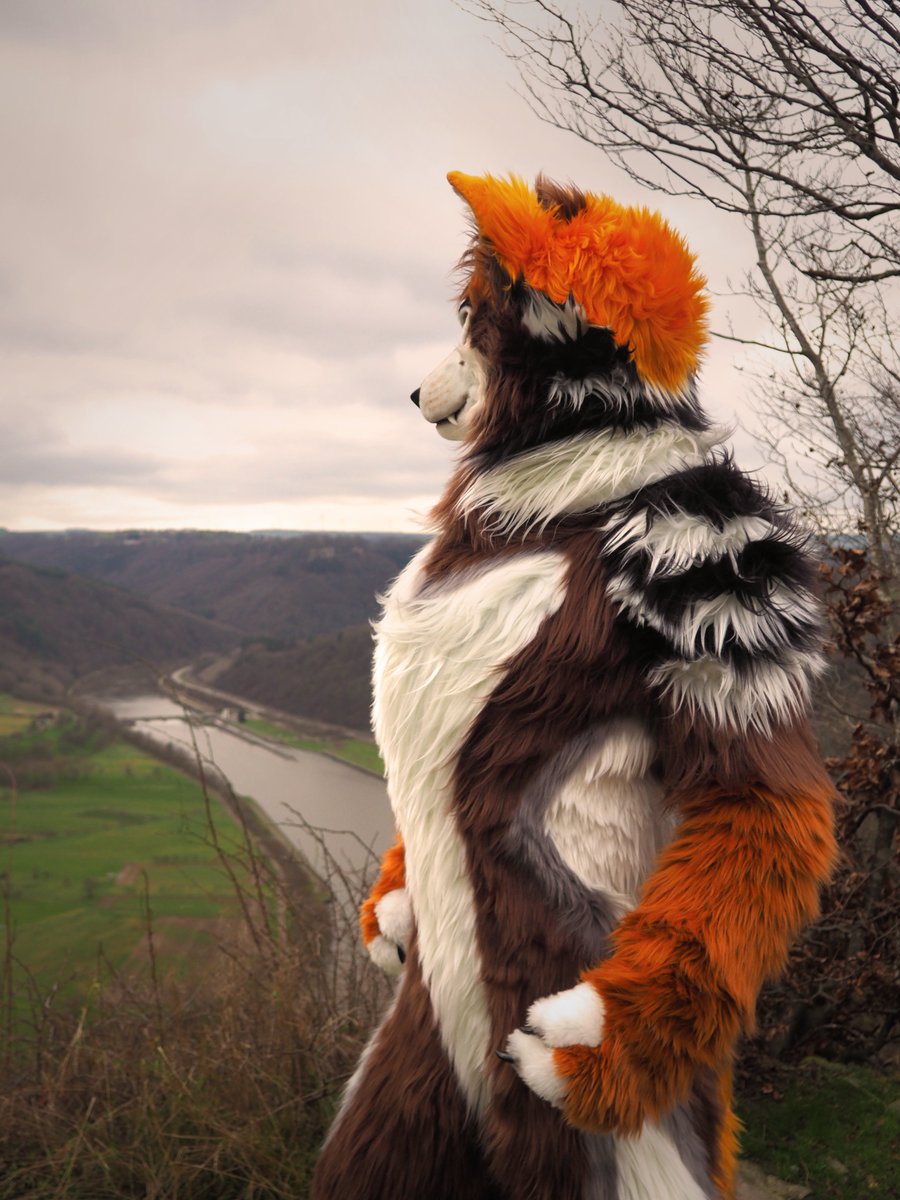 Sometimes you have to look beyond the horizon and discover something new.

#FursuitFriday #Furry #Fursuit