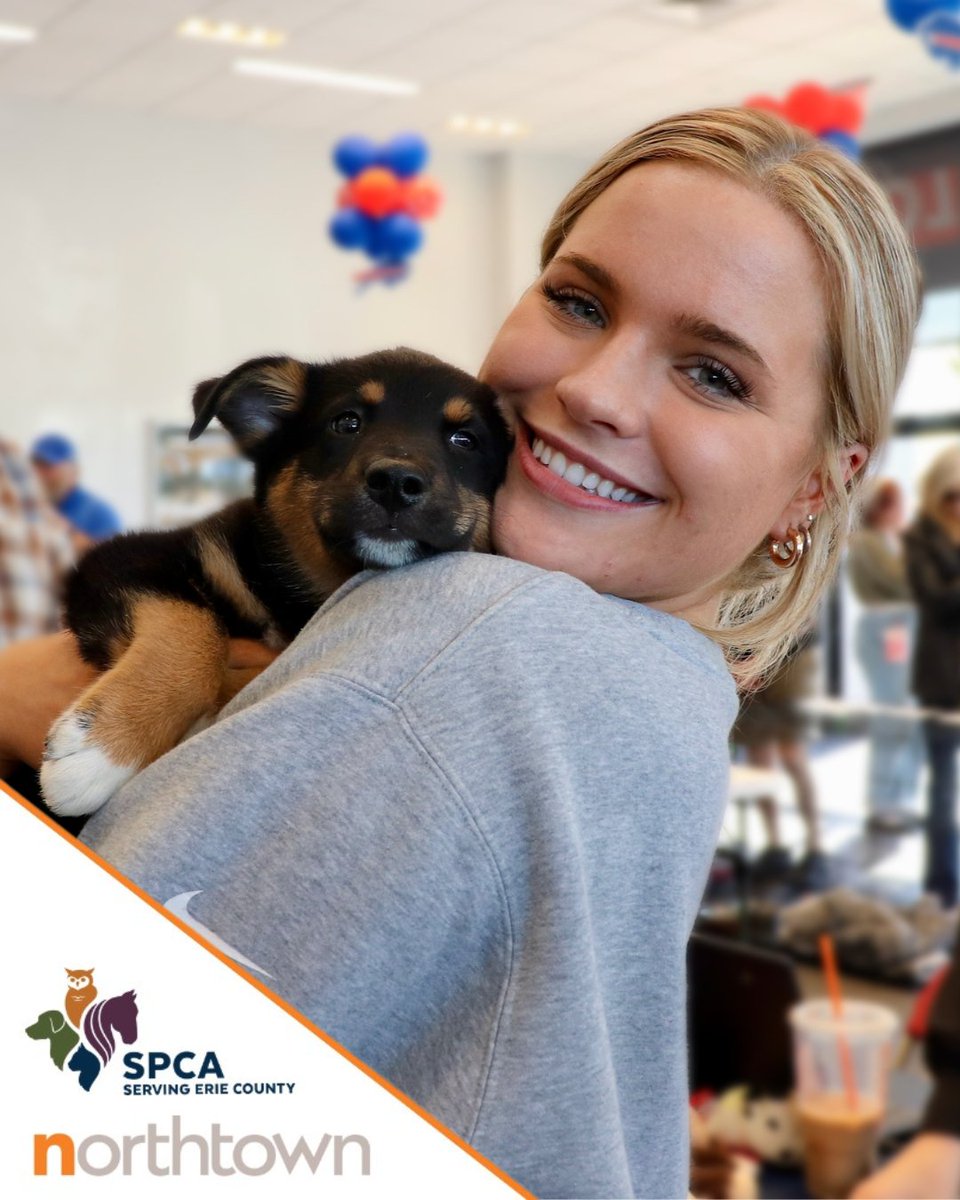 Northtown Automotive (@northtownauto) on Twitter photo ๐จ TODAY ๐จ
<a href="/YourSPCA/">Erie County SPCA, NY</a> Adoption Event from 11am-3pm at Northtown Subaru ๐พ ๐จ TODAY ๐จ
<a href="/YourSPCA/">Erie County SPCA, NY</a> Adoption Event from 11am-3pm at Northtown Subaru ๐พ